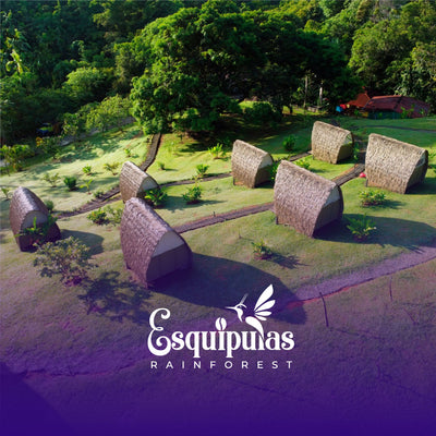 Esquipulas Rainforest