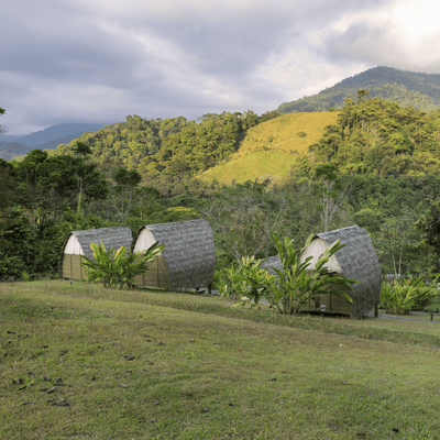 Esquipulas Rainforest