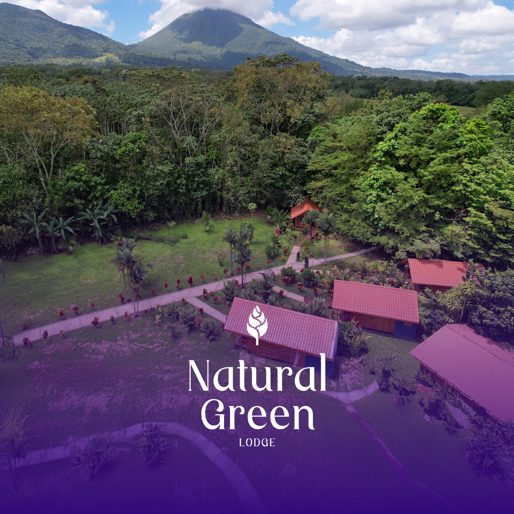 Natural Green Lodge