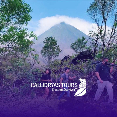 Callidryas Tours